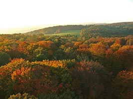 Farbenspiel am Eichbergturm