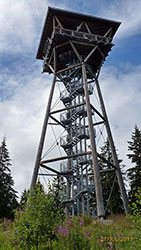 Bild vom Aussichtsturm Riesenb&uuml;hl am Schluchsee