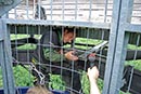 Montage der WebCams am Eichbergturm in luftiger H&ouml;he