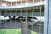 Montage der WebCams am Eichbergturm in luftiger H&ouml;he