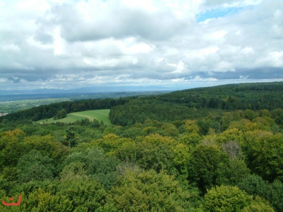 Bilder_20_08_2007_6