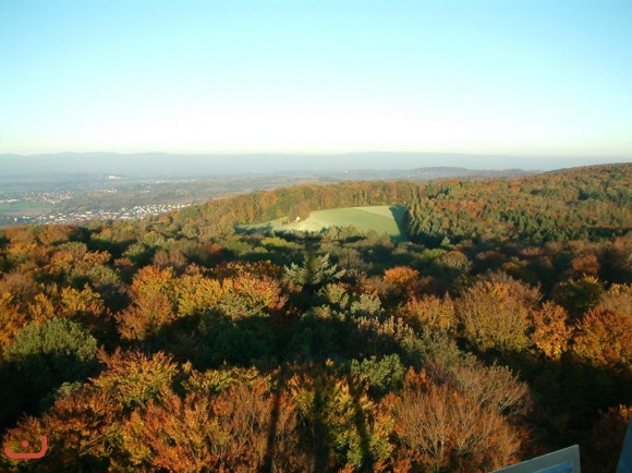 Morgendämmerung_7