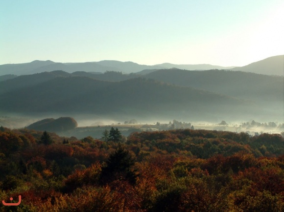 Morgendämmerung_8