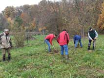 Baumpflanzaktion der Emmendinger Vereine