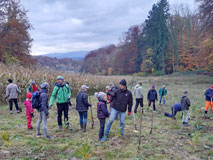 Baumpflanzaktion der Emmendinger Vereine